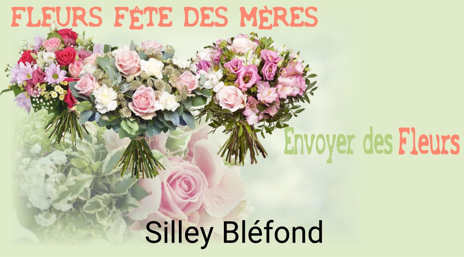 Bouquet de Fête des Mères livré à Silley-Bléfond